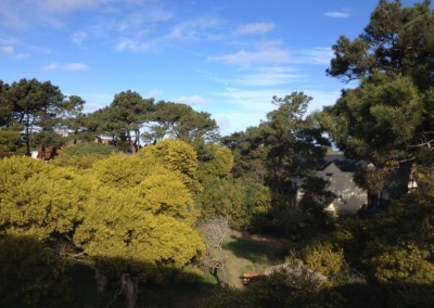 IphoneAnaabril2014 411